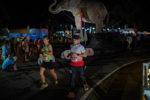 BIB: 
                            <button type="button" onclick="openModal(26552270)" class="btn btn-primary btn-sm float-right btn-popup" data-toggle="modal" data-target=".modal-high-quality">
                        <i class="fas fa-shopping-cart"></i> Add to Cart
                    </button>
                                            <button type="button" onclick="isThisMe(26552270, true)" class="btn btn-success btn-sm float-right btn-popup btn-isme hidden" data-toggle="tooltip" data-placement="bottom" title="นี่คือรูปของคุณใช่ไหม คลิกที่นี่เพื่อเอาเข้าอัลบั้ม">
                        <i class="fas fa-plus"></i> Add to album
                    </button>
                    <button type="button" onclick="isThisMe(26552270, false)" class="btn btn-warning btn-sm float-right btn-popup btn-isnotme hidden">
                        <i class="fas fa-ban"></i> Remove from album
                    </button>